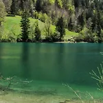 Forsthaus Faistenau Casa vacanze *