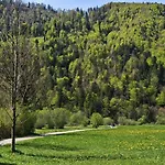 Forsthaus Faistenau * Hintersee