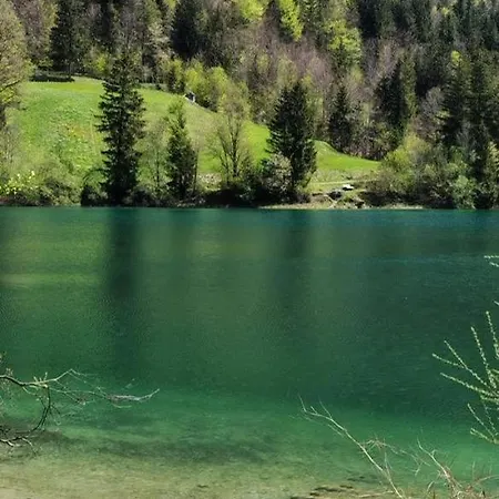 Forsthaus Faistenau Ferienhaus *