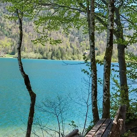 Forsthaus Faistenau Ferienhaus Hintersee