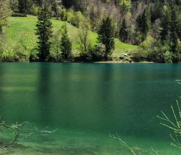 Forsthaus Faistenau Dom wakacyjny *