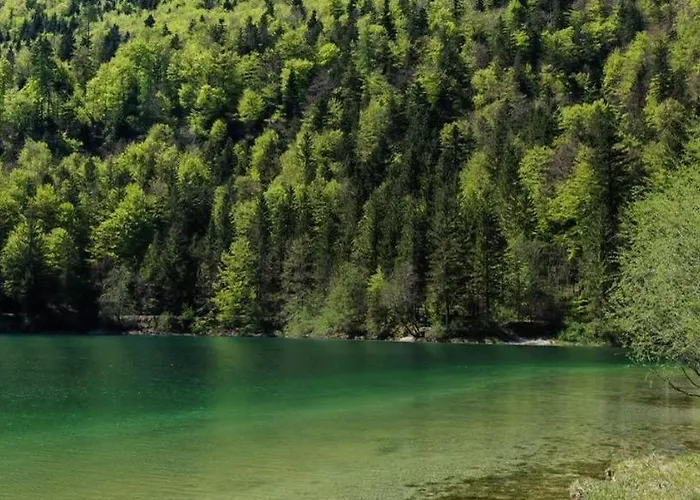 Forsthaus Faistenau Dom wakacyjny *