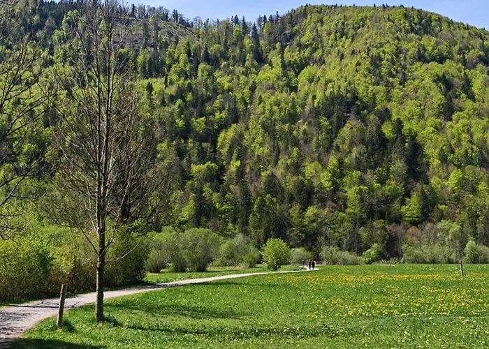Forsthaus Faistenau * Hintersee